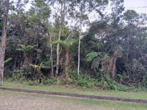 whatsapp image 2024 12 02 at 16.52.57