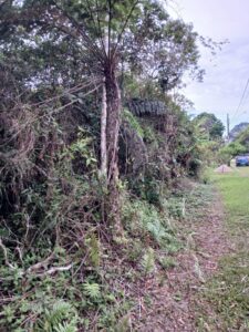 whatsapp image 2024 12 02 at 16.52.59 (1)