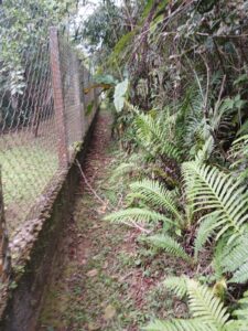 whatsapp image 2024 12 02 at 16.53.04 (2)