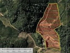 medicao terreno rural 01